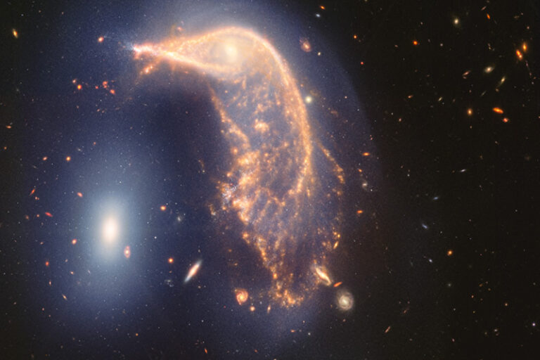 Arp142