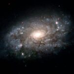 ดาวบีเทลจุส (Betelgeuse)