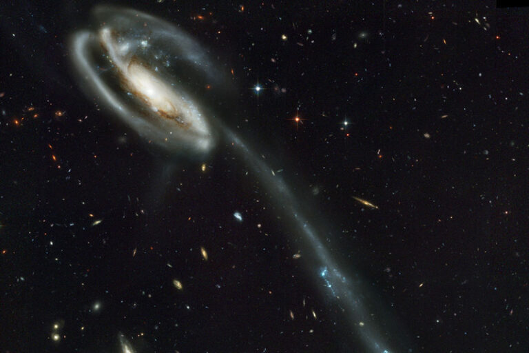 UGC-10214