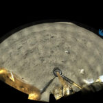 เกิดอะไรขึ้น ?! เมื่อหมีน้ำ กลายเป็นผู้ประสบภัยบนดวงจันทร์