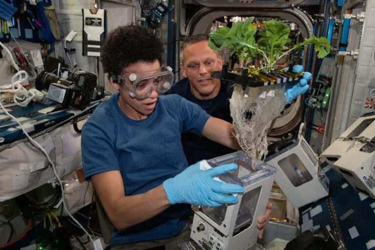plant-in-space