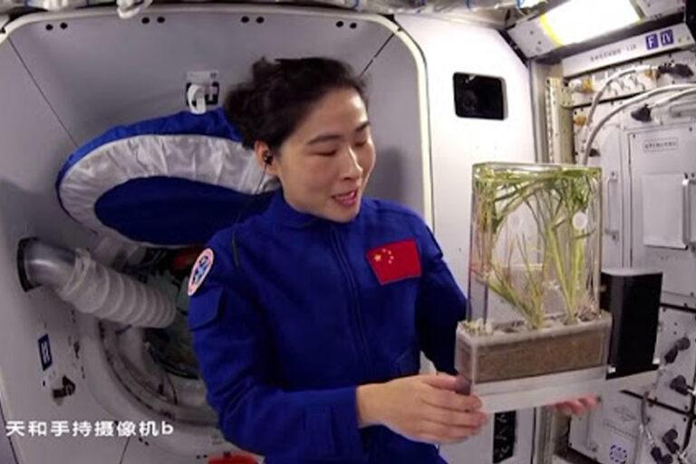 rice-in-space