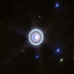 สเต็มเซลล์ที่เพาะเลี้ยงในอวกาศ อาจปฏิวัติวงการแพทย์บนโลก!