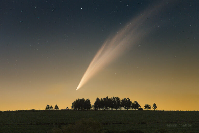 AtlasFields_Salazar_3214