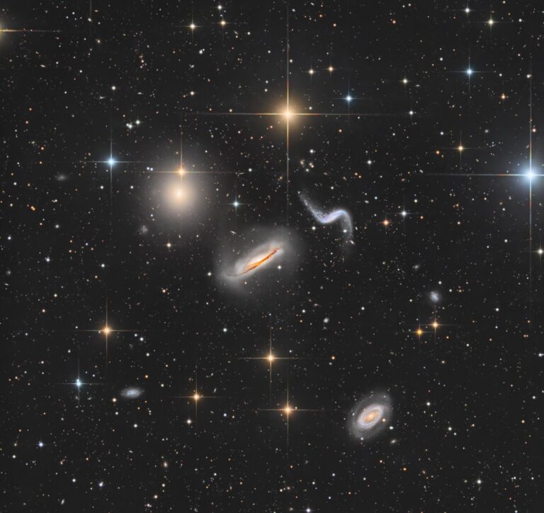 ARP316