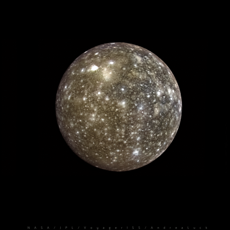 52625721948_30a6776870_o