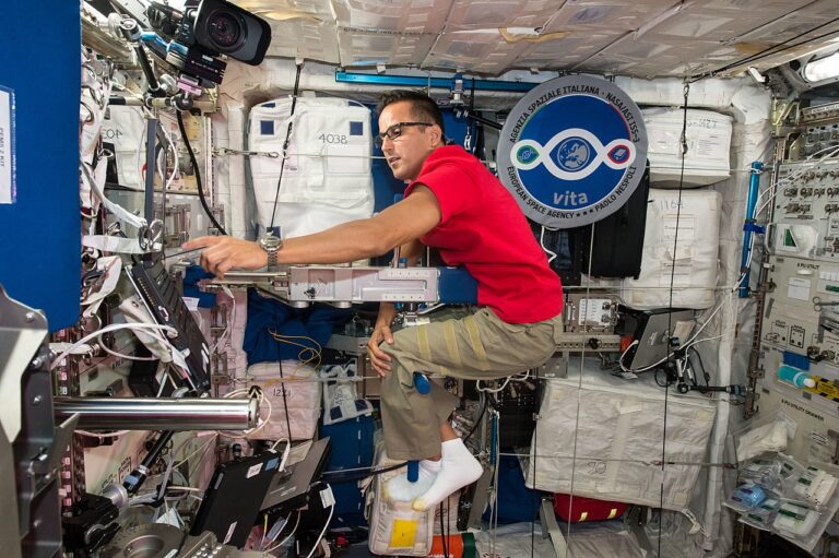 ISS-53_Joseph_Acaba