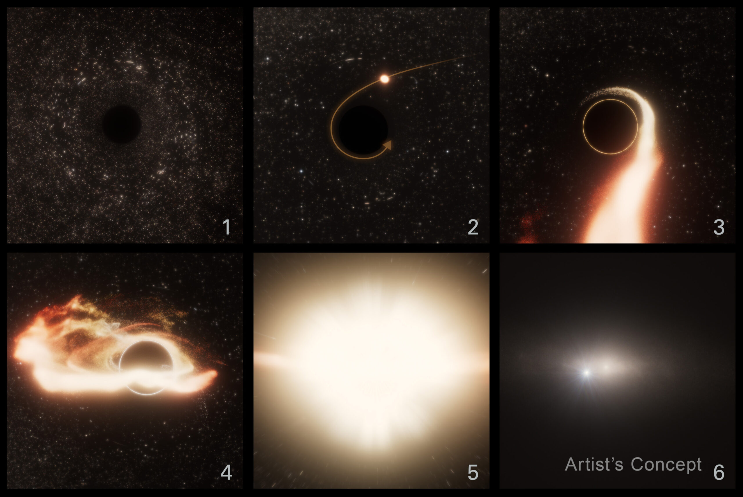 Six Panels with numbers Artist Concept watermarked