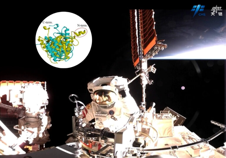SpaceBacteria