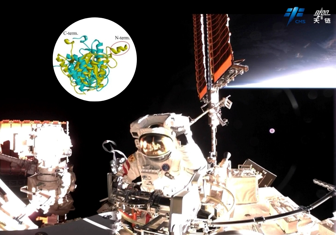SpaceBacteria