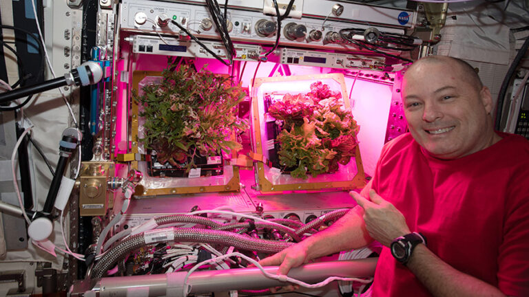 Veggie_in_space