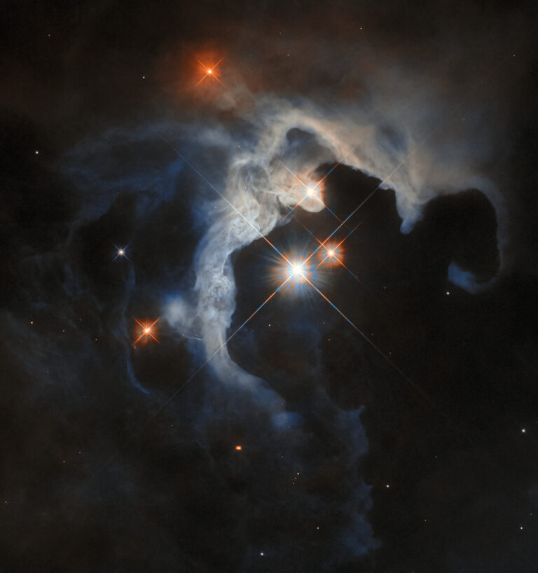 The young stars of Taurus