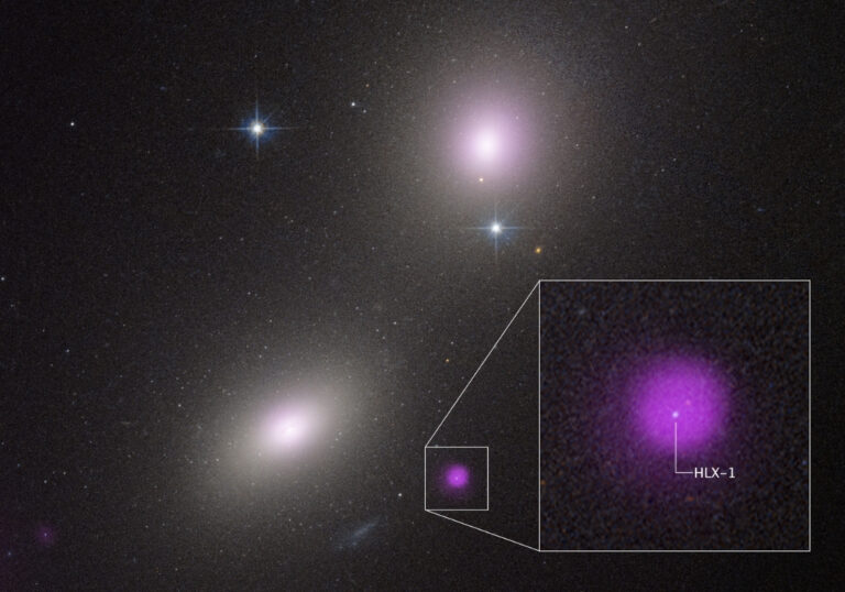 HLX1