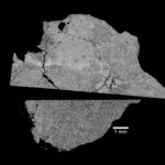 Moon Meteorite