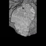 ช็อกวงการ! “เฟลิกซ์ เบาม์การ์ทเนอร์” เจ้าของสถิติดิ่งพสุธา เสียชีวิตแล้ว