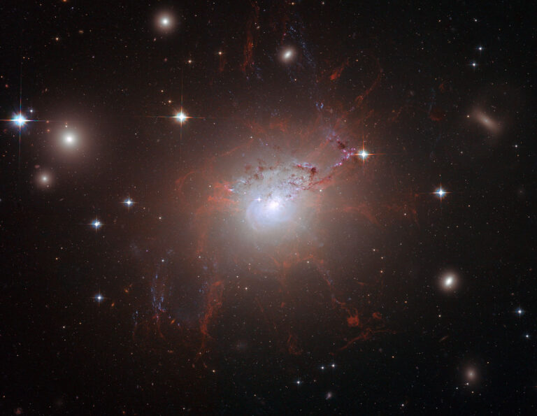 Magnetic monster NGC 1275