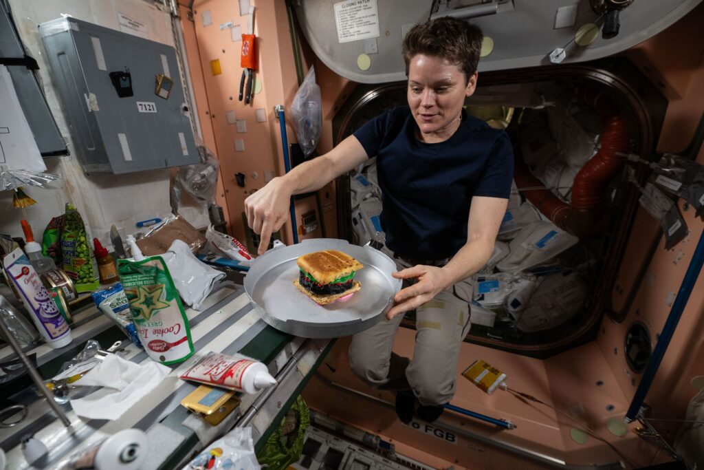 iss073e0248474