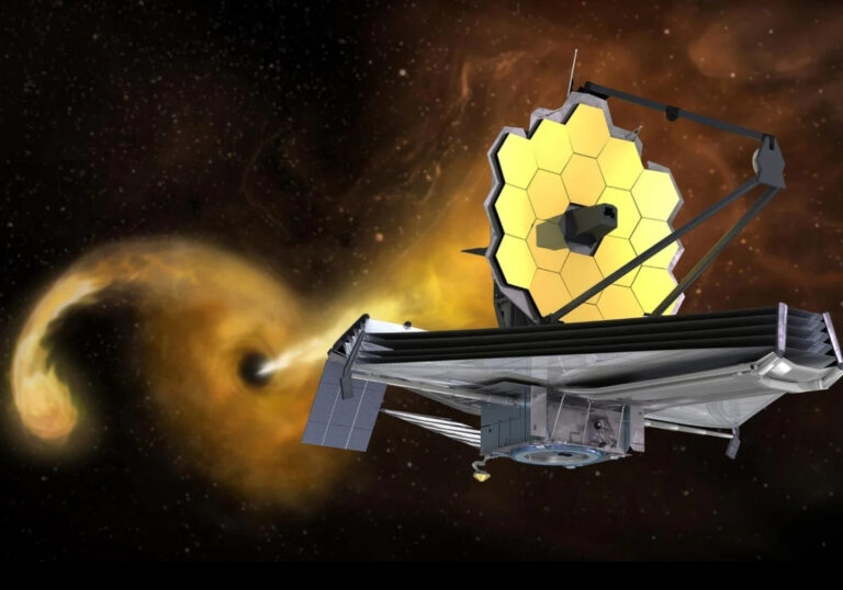 JWST Dormant Black Holes