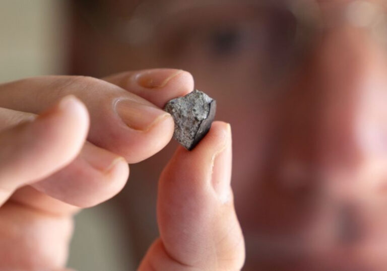 McDonough Meteorite