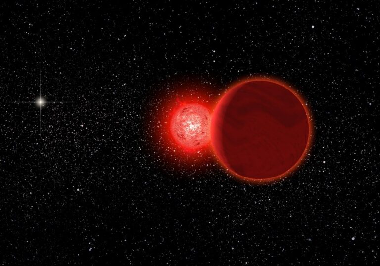 Scholz’s star