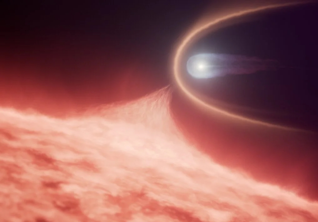 white dwarf remnant