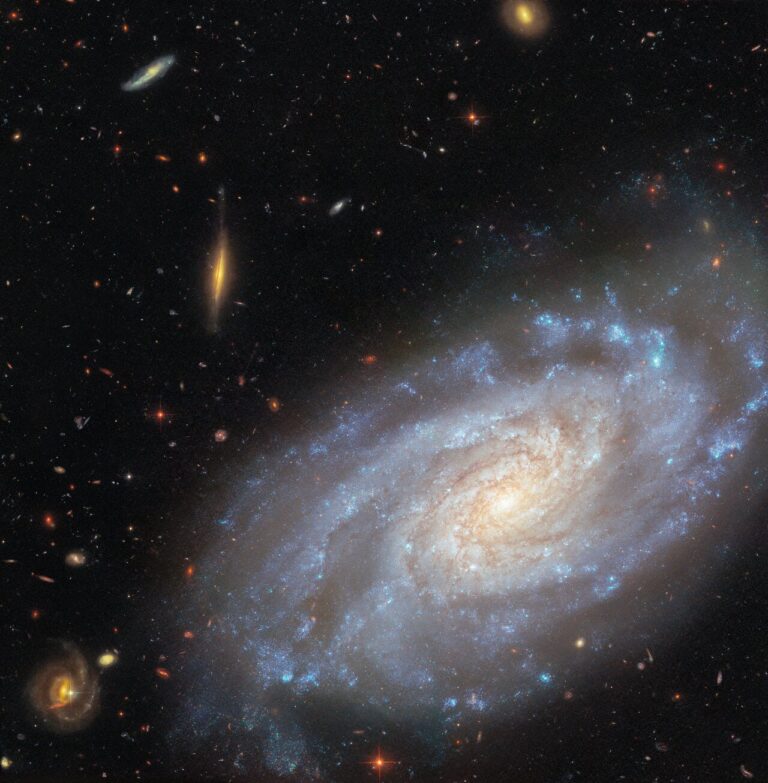 NGC 3370 (wide view)
