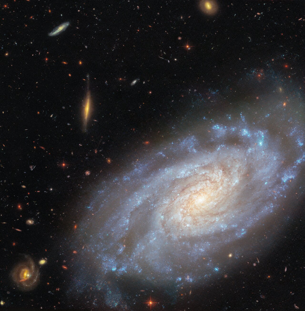 NGC 3370 (wide view)