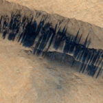 นักวิทย์พิมพ์กล้ามเนื้อ 3 มิติในอวกาศ ก้าวสำคัญสู่การสร้างอวัยวะมนุษย์จากศูนย์