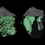 กล้องฮับเบิลจับภาพเหตุการณ์หาชมยาก ดาวหางแตกตัวขณะเดินทางออกจากระบบสุริยะ
