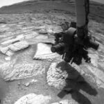 โดนัลด์ ทรัมป์ เปิดทำเนียบขาวต้อนรับนักบินอวกาศ “อาร์ทิมิส 2” เอ่ยถามนาซา “ประธานาธิบดีไปอวกาศได้หรือไม่?”